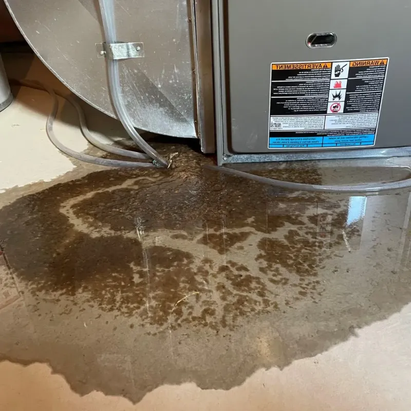 Pipe Burst and Leak Restoration in Ada, OK